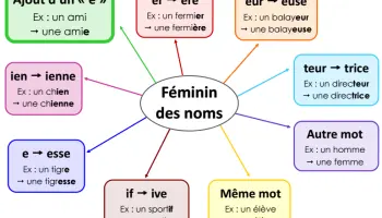 Die-weiblichen-Substantive