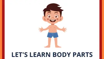 Let-s-learn-body-parts