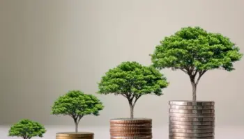 zhi-ding-tou-zi-xuan-ze