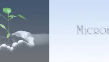 Microfinanzas-Un-prestamista-moderno