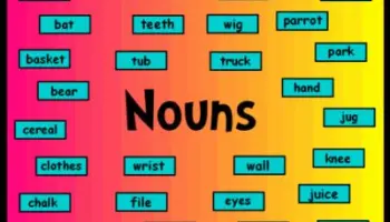 Susestvitel-nye-1-Ima-Mesto-Zivotnok