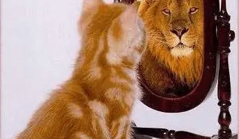 Online-Personas-vollig-anders-als-die-Realitat