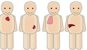 Organtransplantation