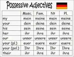 Declination-of-the-possessive-pronouns