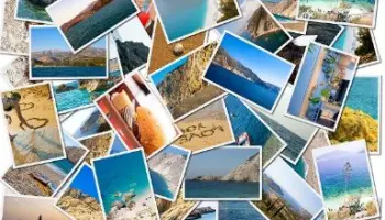 Cartoline-da-New-York-Forma-e-funzioni-delle-parole