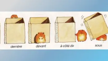 Preposizioni-di-luogo