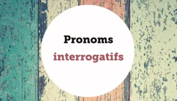 Interrogative-pronouns