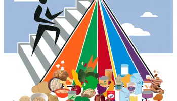 Pisevoj-piramidy-Tipy-pisevyh-grupp