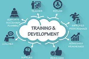 La-formation-et-le-developpement