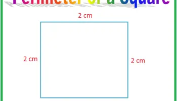Utiliser-le-centimetre-comme-unite-formelle-pour-mesurer-la-longueur-et-le-perimetre
