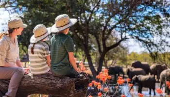 Attivita-di-fauna-selvatica-nel-turismo